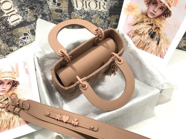 1:1 Replica Christian Dior Smal Lady Dior My ABCDIOR Bag Brown For Women 8in/20cm CD