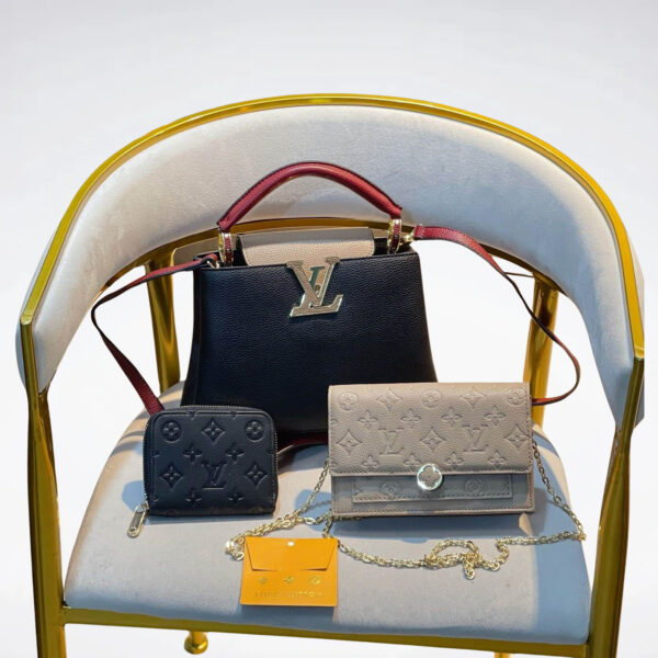 DBS-LC161 - Discounted Price For Set 3 Bags