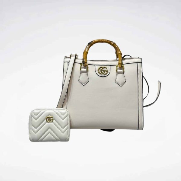 DBS-LC588 - Discounted Price For Set 2 Bags