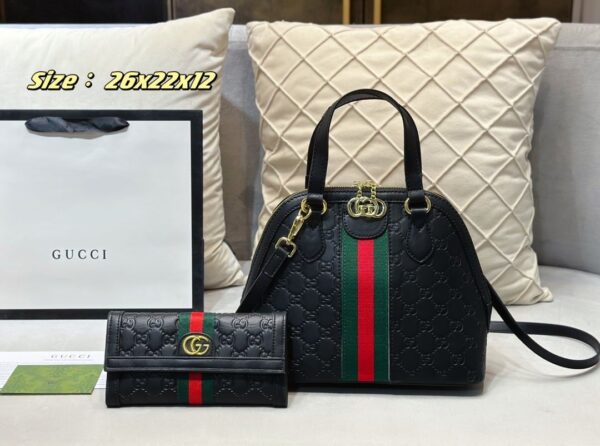 DBS-LC621 - Discounted Price For Set 2 Bags