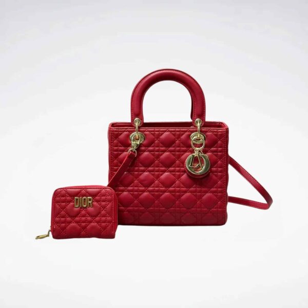 DBS-LC663 - Discounted Price For Set 2 Bags