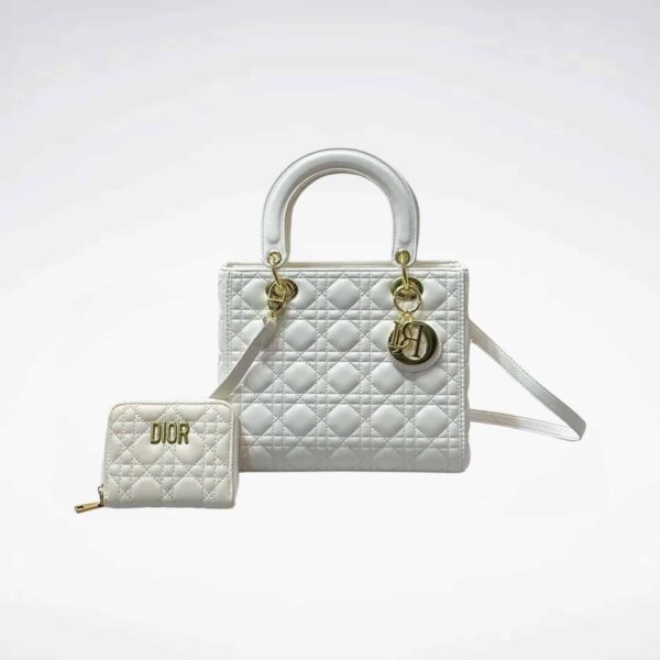 DBS-LC664 - Discounted Price For Set 2 Bags