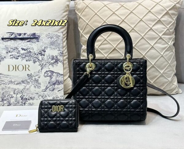 DBS-LC665 - Discounted Price For Set 2 Bags