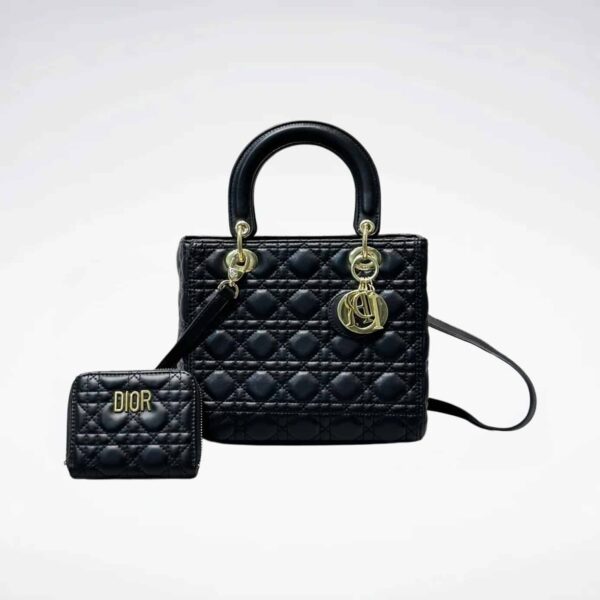 DBS-LC665 - Discounted Price For Set 2 Bags