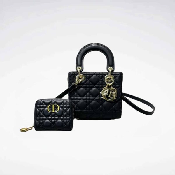 DBS-LC666 - Discounted Price For Set 2 Bags