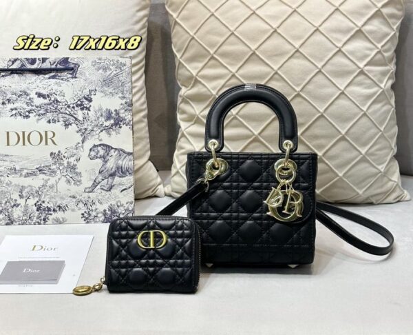 DBS-LC666 - Discounted Price For Set 2 Bags