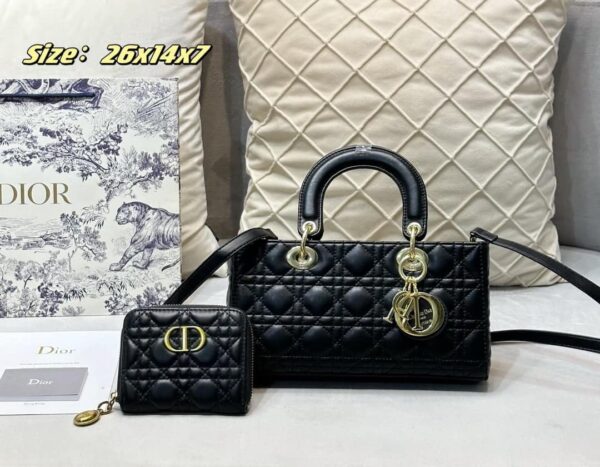 DBS-LC668 - Discounted Price For Set 2 Bags