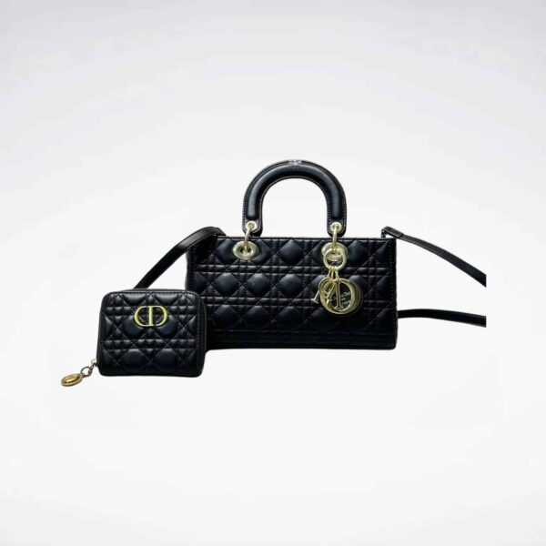 DBS-LC668 - Discounted Price For Set 2 Bags