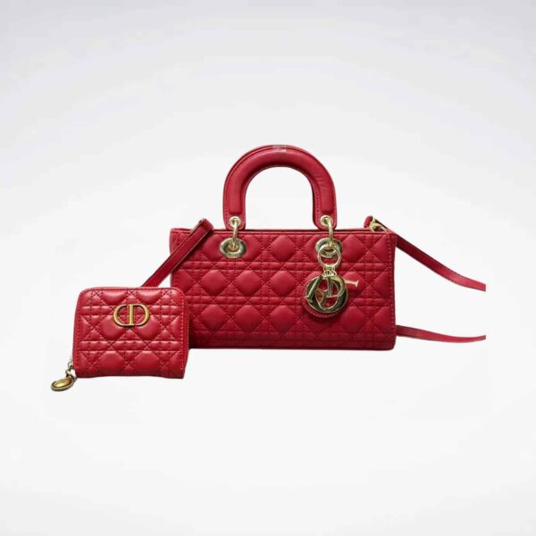 DBS-LC670 - Discounted Price For Set 2 Bags