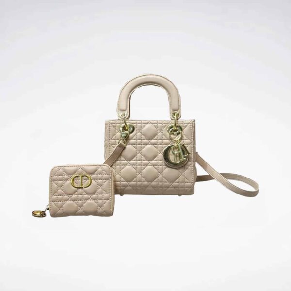 DBS-LC672 - Discounted Price For Set 2 Bags