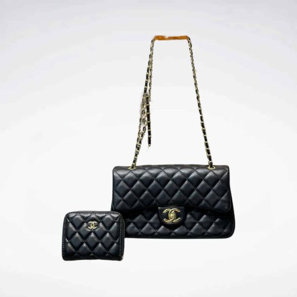 DBS-LC704 - Discounted Price For Set 2 Bags