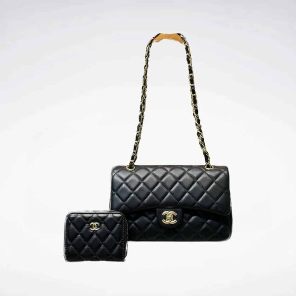 DBS-LC714 - Discounted Price For Set 2 Bags