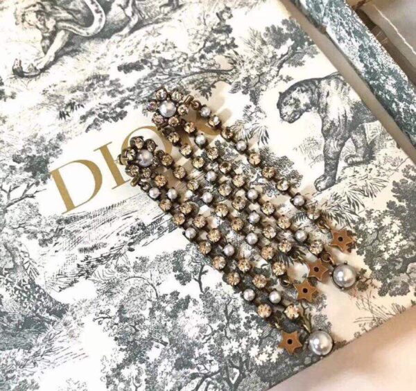 Dior Earrings
