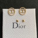 Dior Earrings
