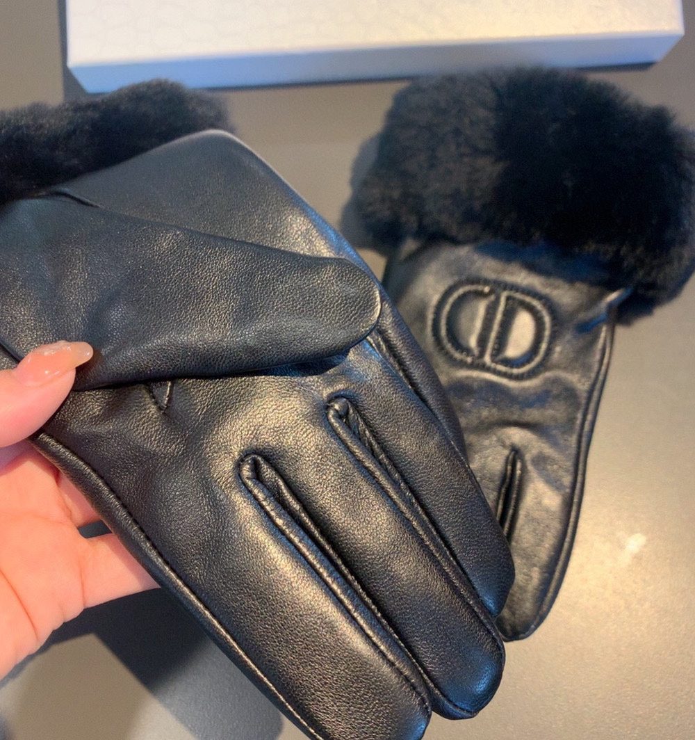 Dior Gloves In Black