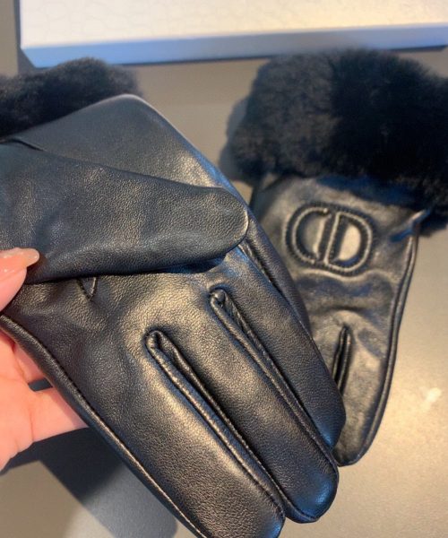 Dior Gloves In Black