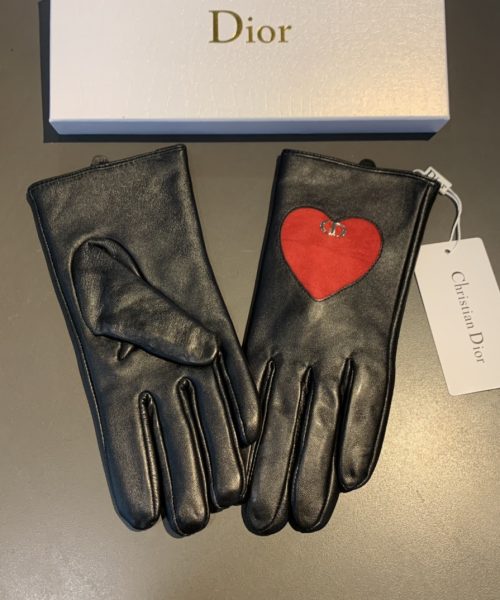 Dior Gloves In Black