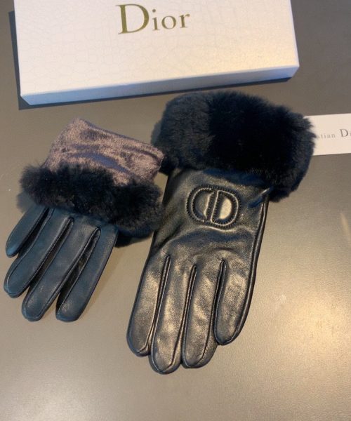 Dior Gloves In Black