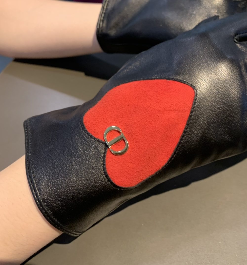 Dior Gloves In Black