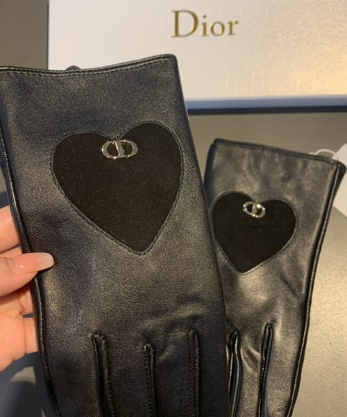 Dior Gloves In Black