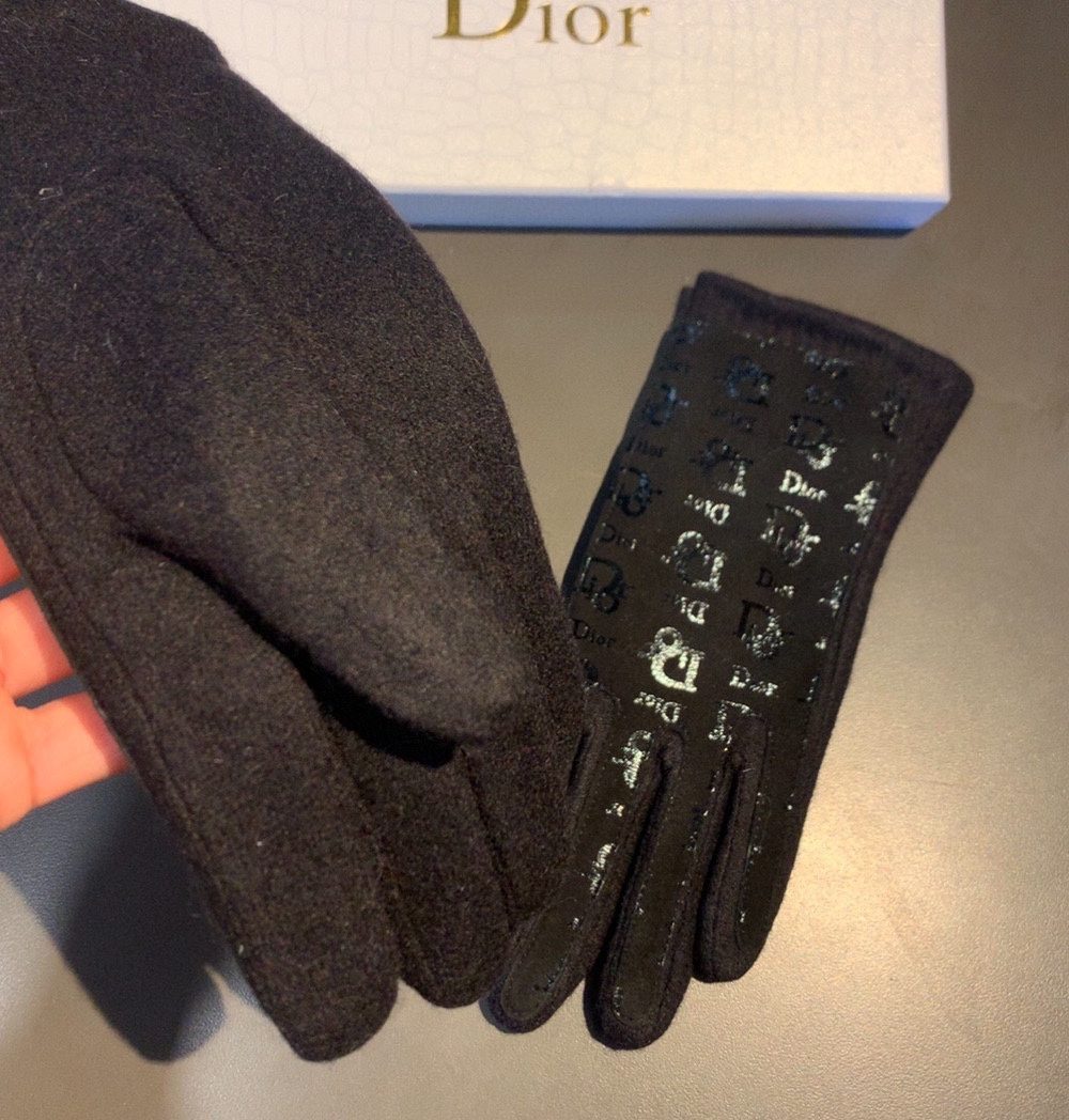 Dior Gloves In Black