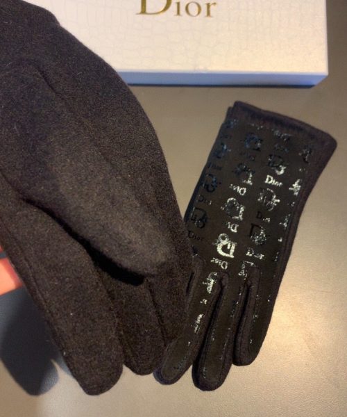 Dior Gloves In Black