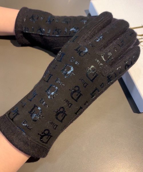 Dior Gloves In Black