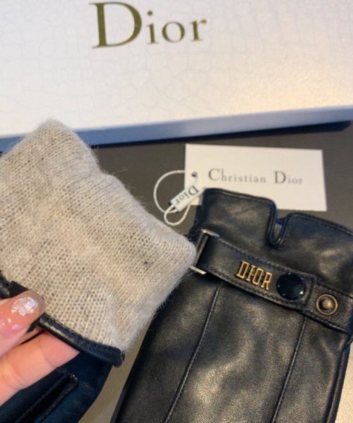 Dior Gloves In Black