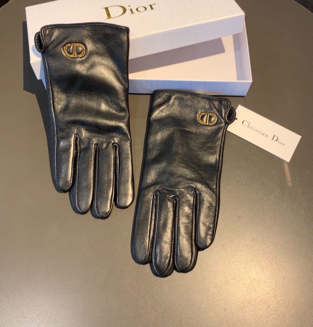 Dior Gloves In Black