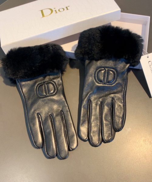 Dior Gloves In Black