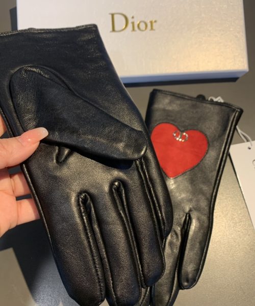 Dior Gloves In Black