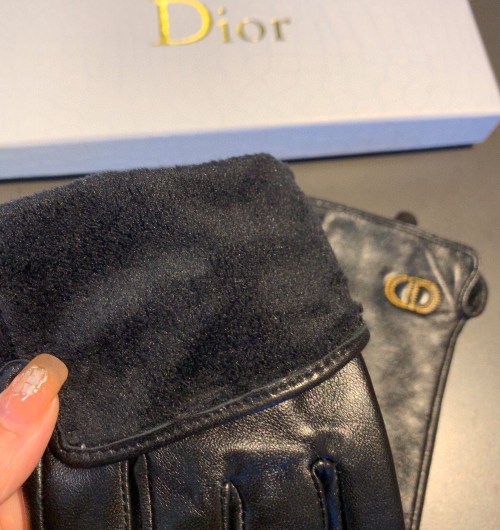 Dior Gloves In Black