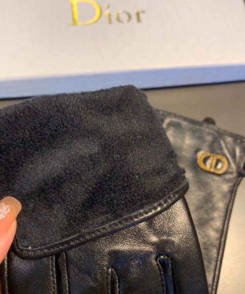 Dior Gloves In Black