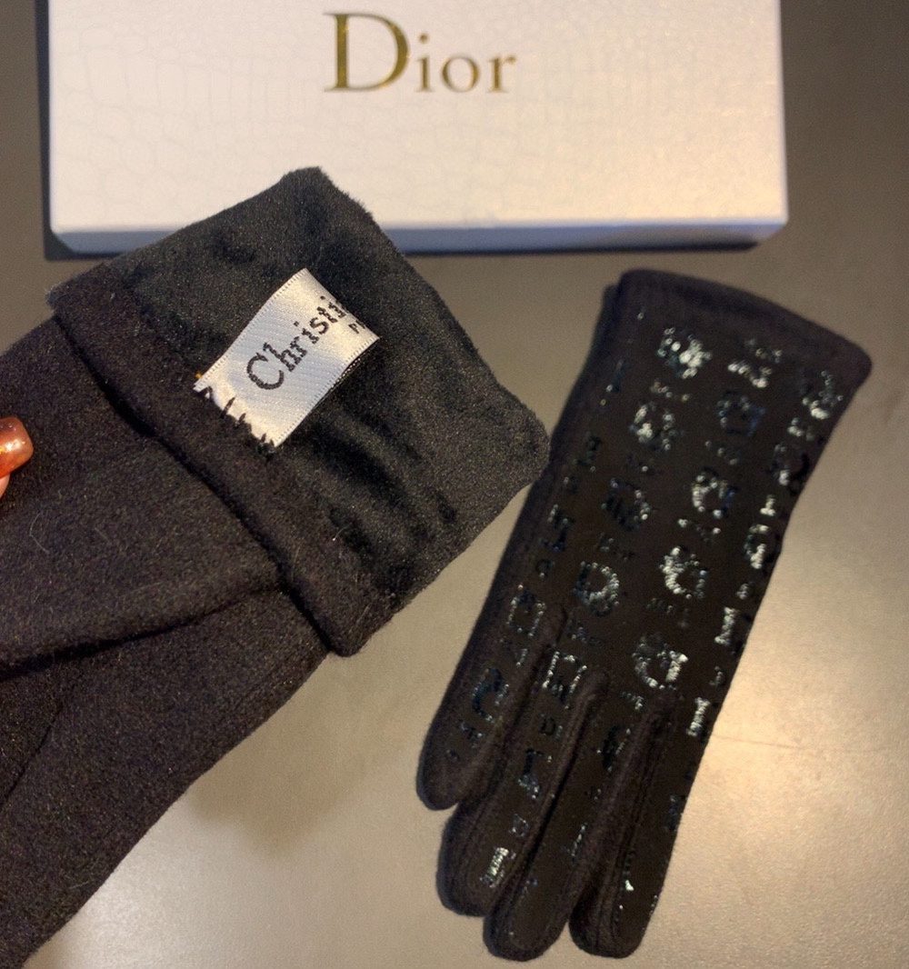 Dior Gloves In Black