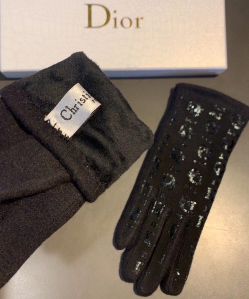 Dior Gloves In Black