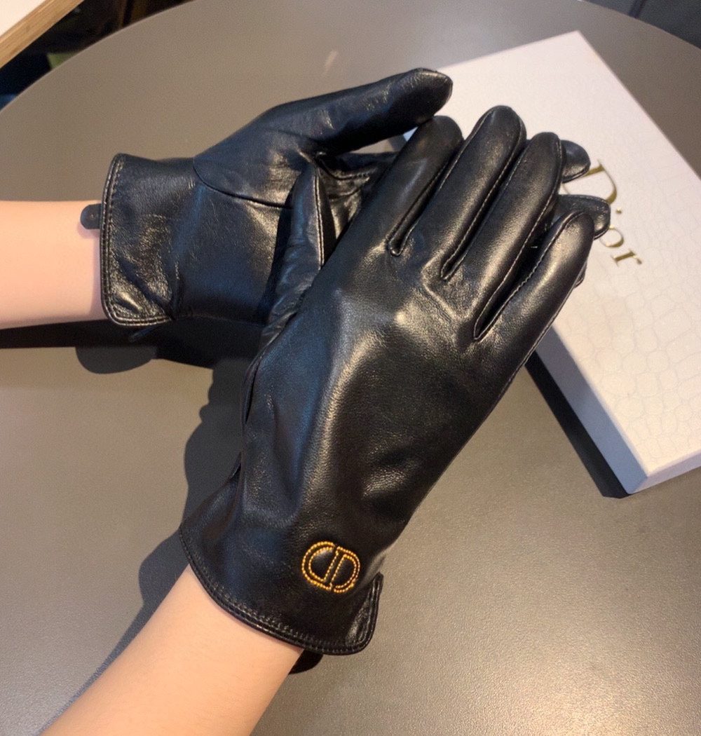 Dior Gloves In Black