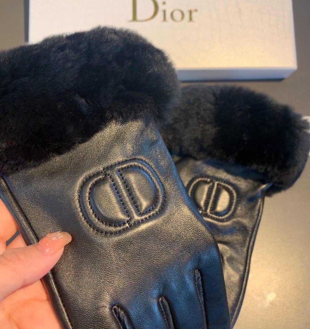Dior Gloves In Black