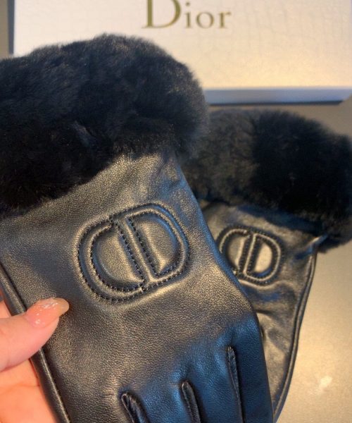 Dior Gloves In Black