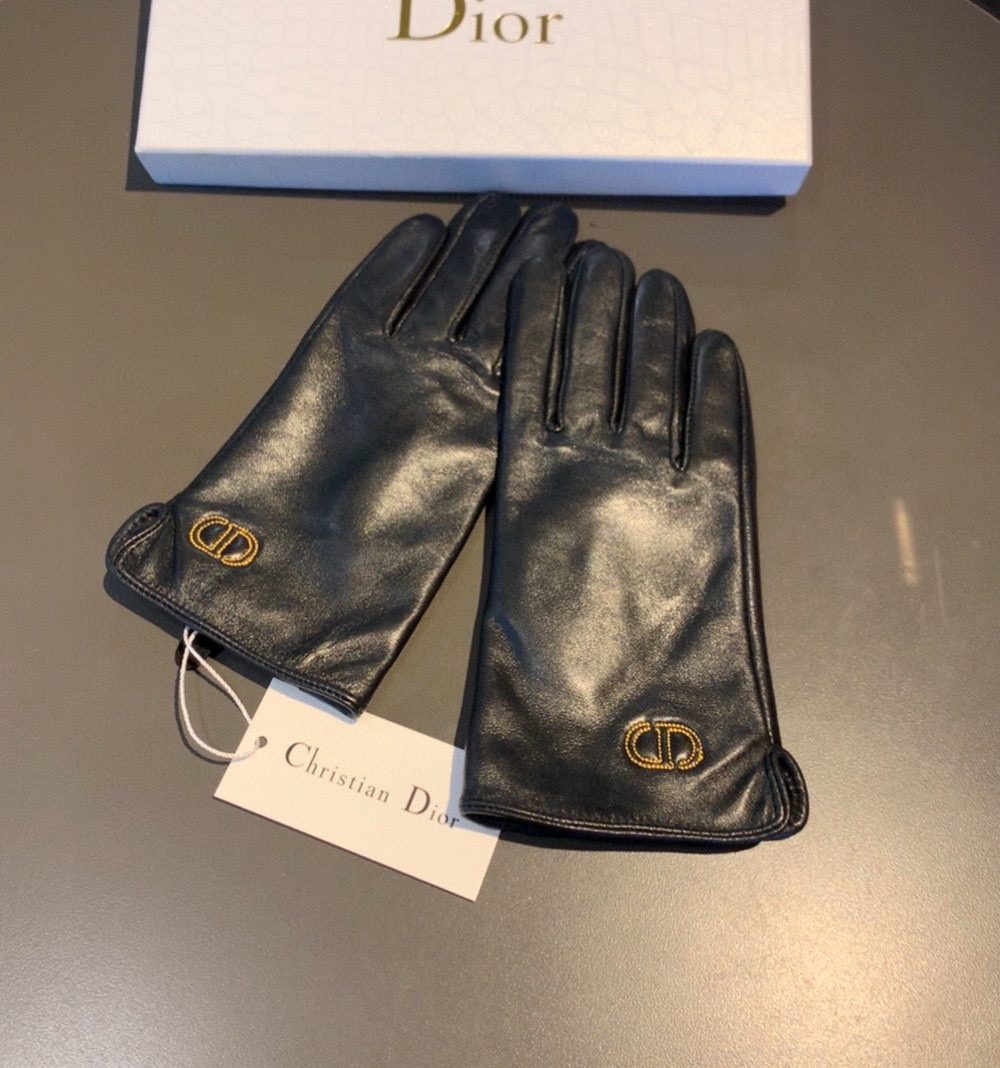 Dior Gloves In Black