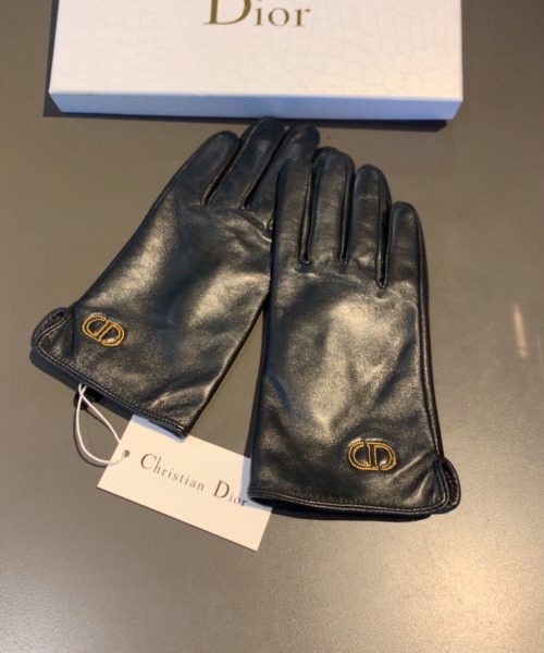 Dior Gloves In Black