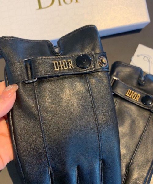 Dior Gloves In Black
