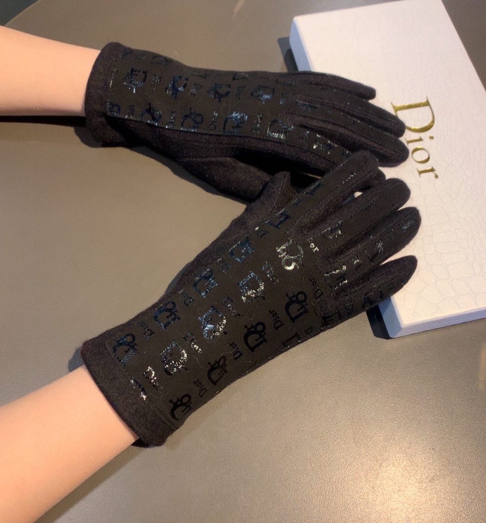 Dior Gloves In Black