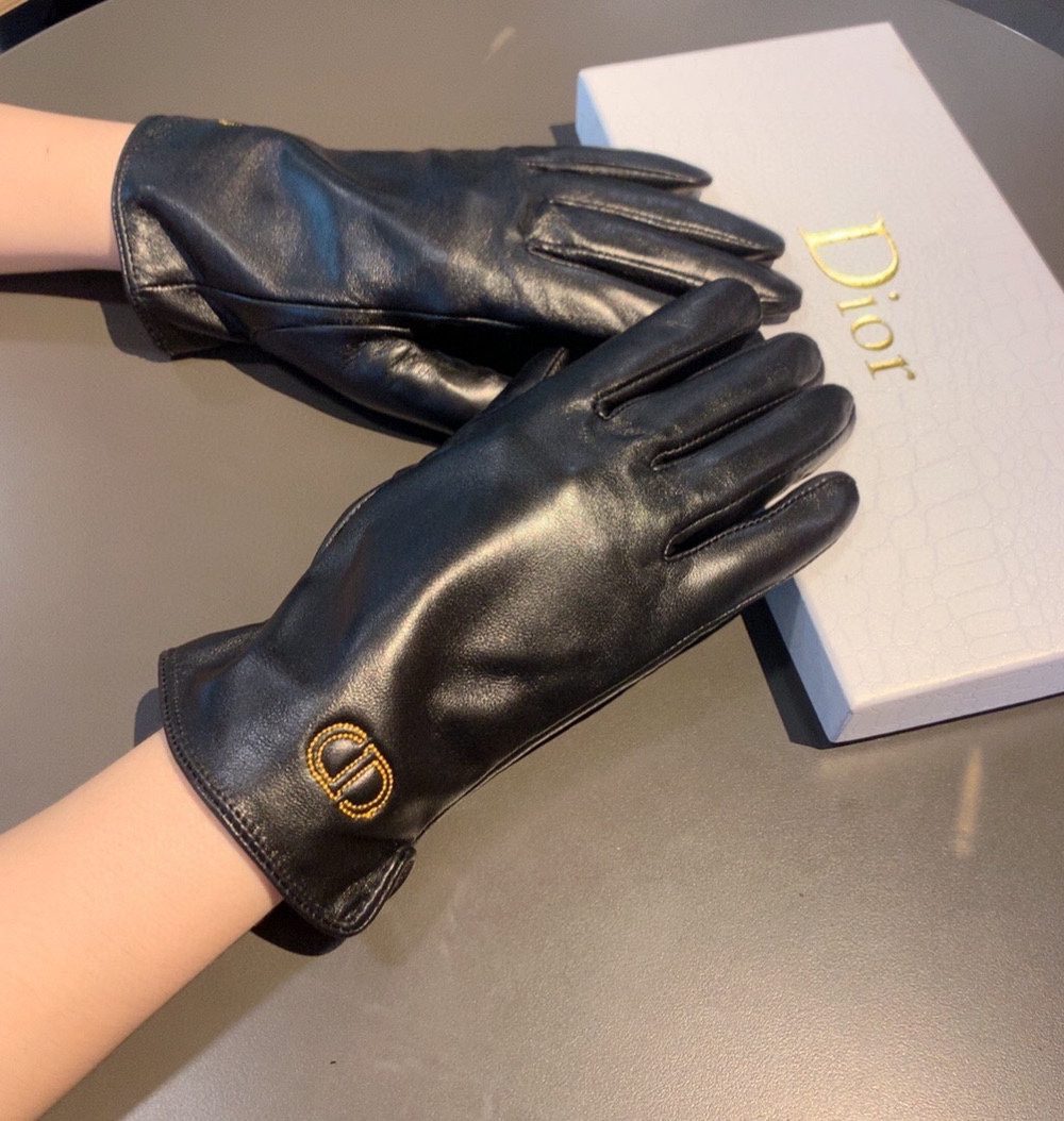 Dior Gloves In Black