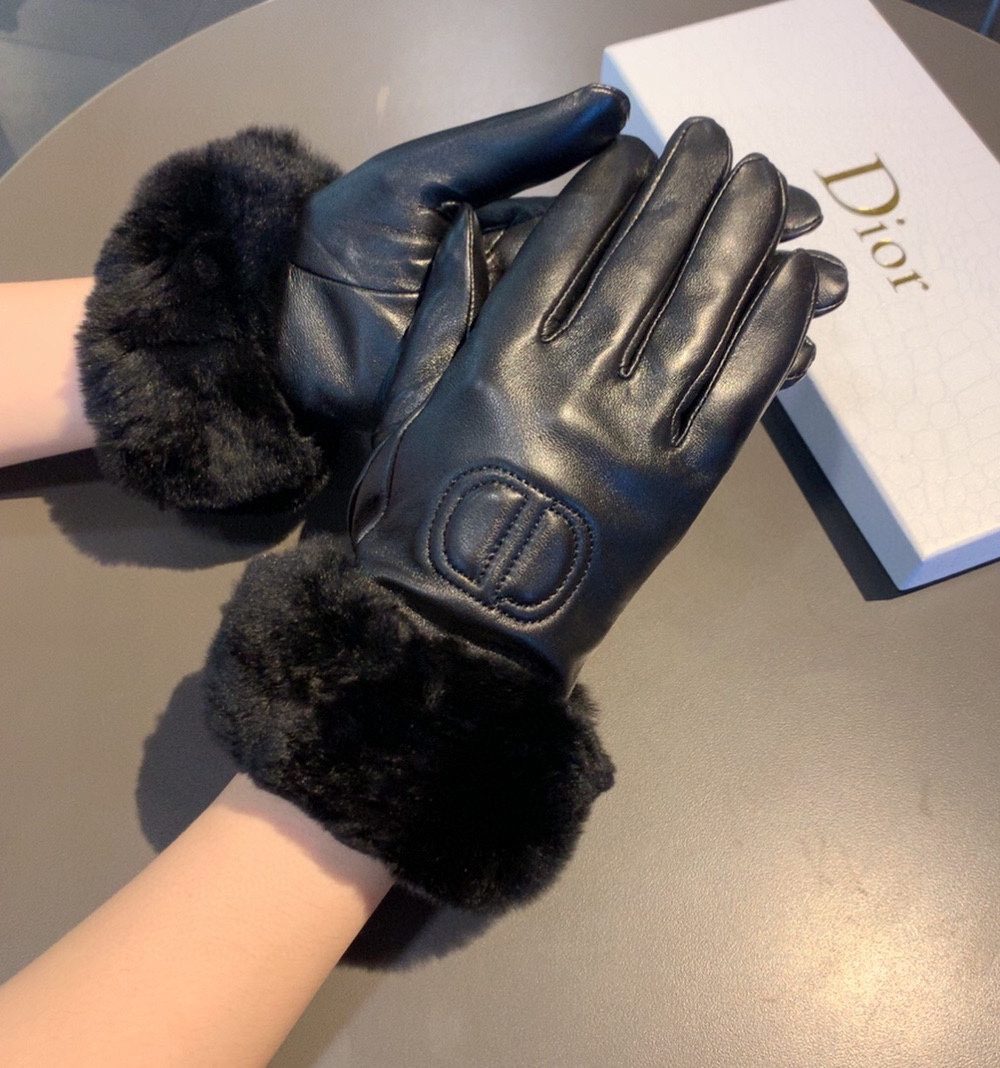 Dior Gloves In Black