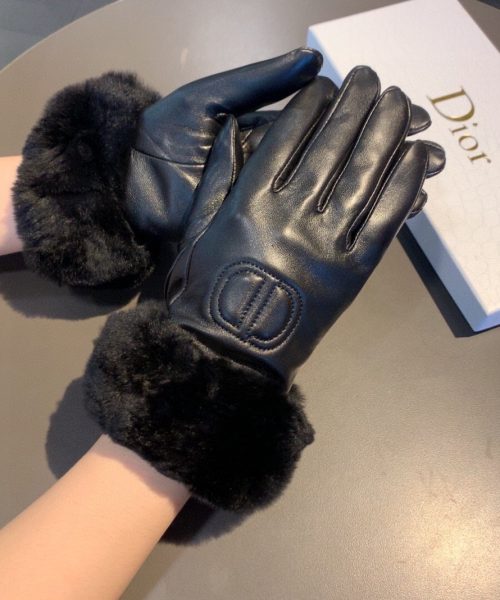 Dior Gloves In Black