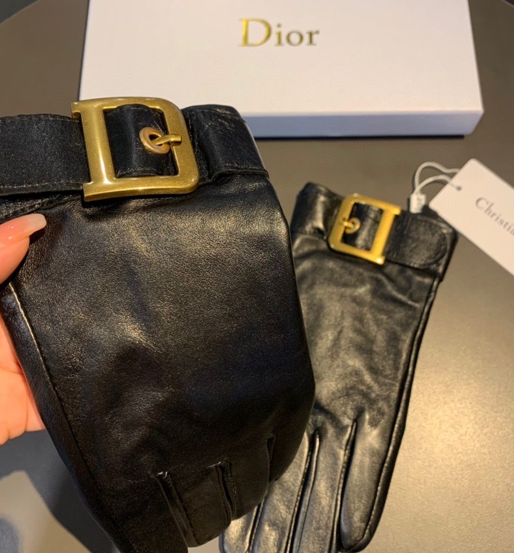 Dior Gloves In Black