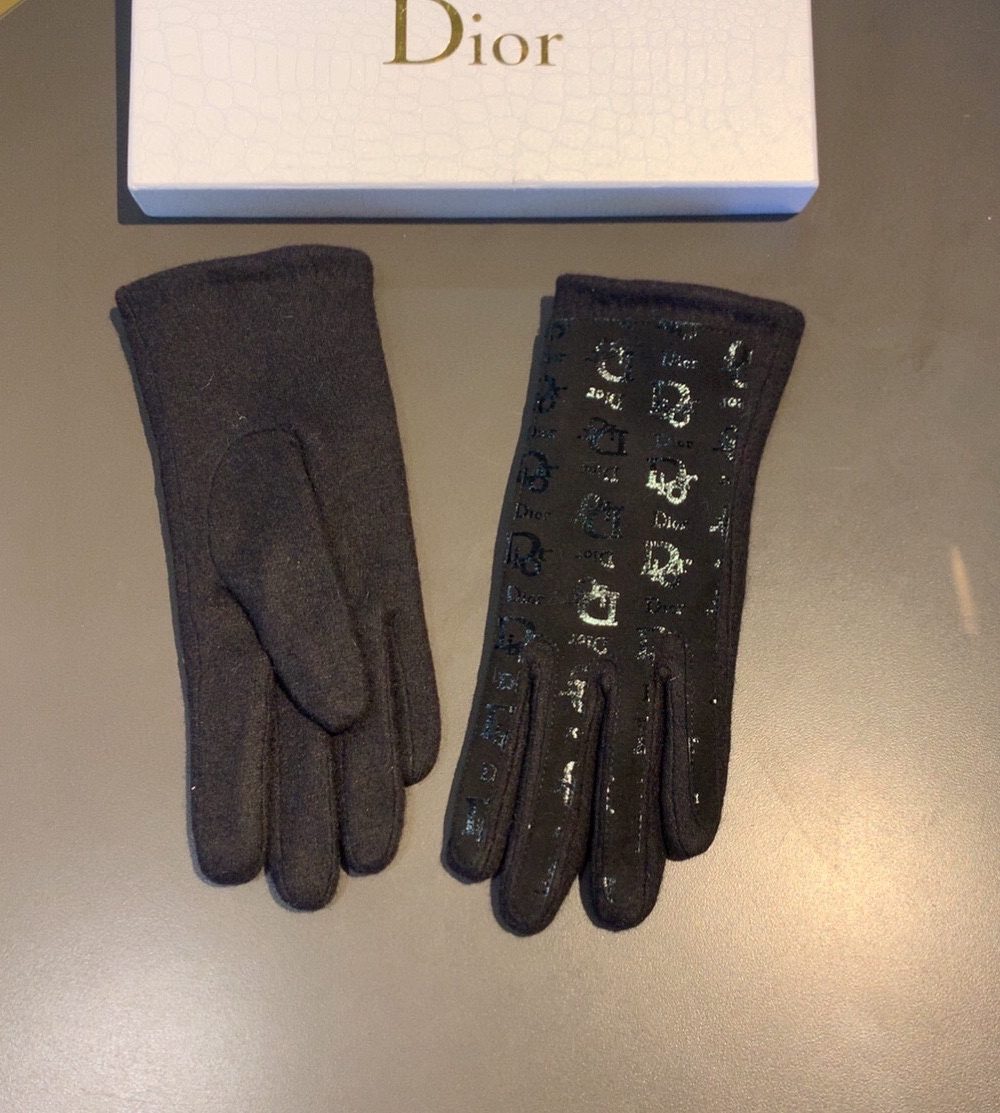 Dior Gloves In Black