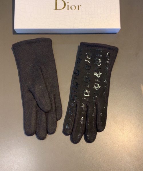 Dior Gloves In Black