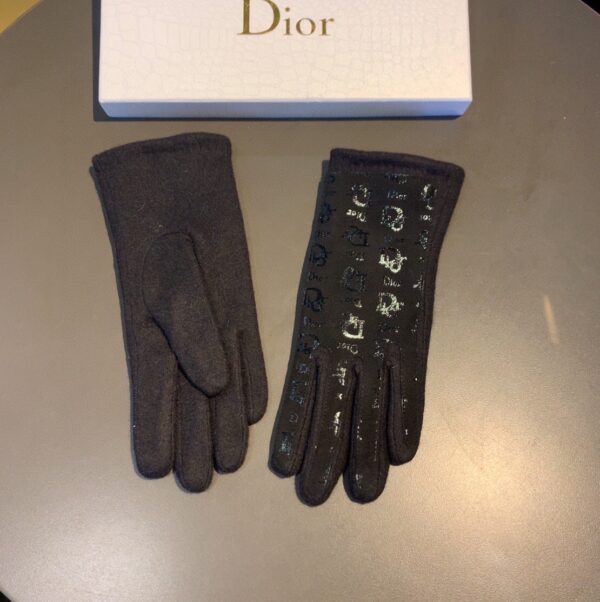 Dior Gloves In Black