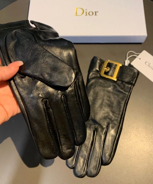 Dior Gloves In Black